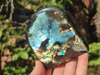 Polished Spectrolite Labradorite Standing Display Pieces x 3 From Madagascar - Toprock Gemstones and Minerals 