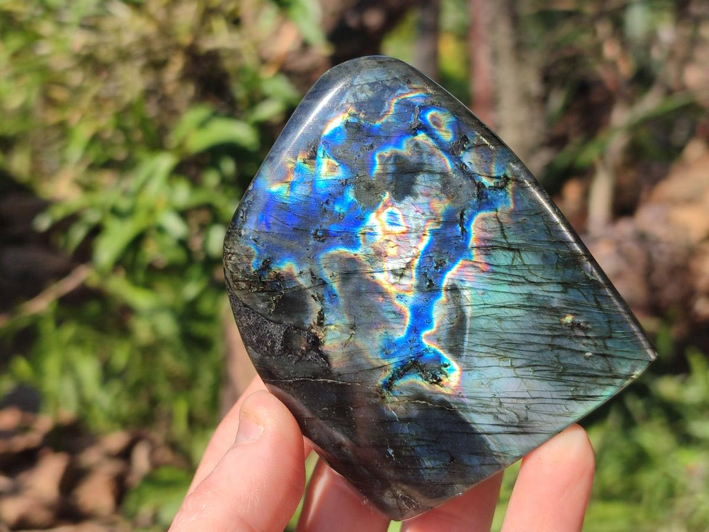 Polished Spectrolite Labradorite Standing Display Pieces x 3 From Madagascar - Toprock Gemstones and Minerals 