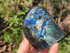 Polished Spectrolite Labradorite Standing Display Pieces x 3 From Madagascar - Toprock Gemstones and Minerals 