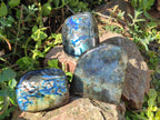 Polished Spectrolite Labradorite Standing Display Pieces x 3 From Madagascar - Toprock Gemstones and Minerals 