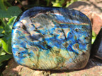 Polished Spectrolite Labradorite Standing Display Pieces x 3 From Madagascar - Toprock Gemstones and Minerals 