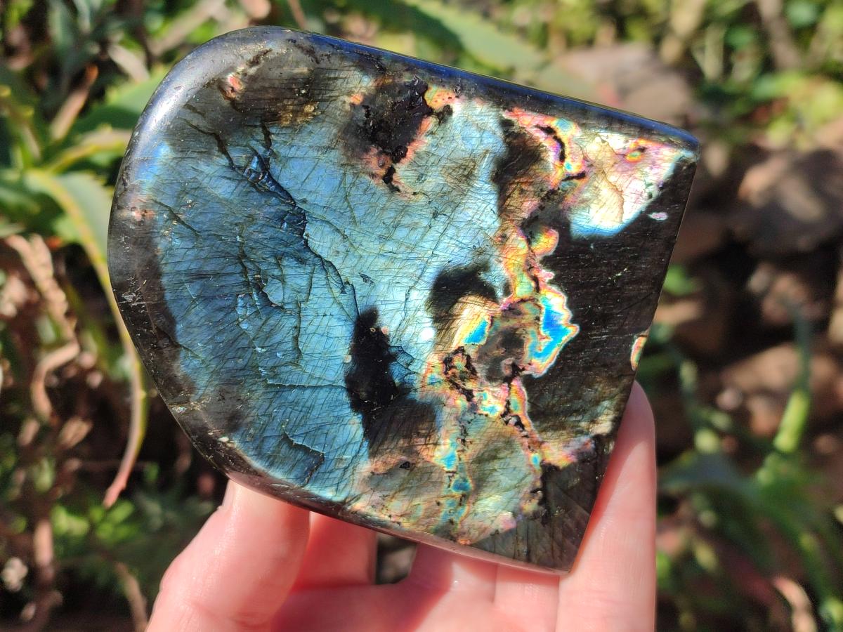 Polished Spectrolite Labradorite Standing Display Pieces x 3 From Madagascar - Toprock Gemstones and Minerals 
