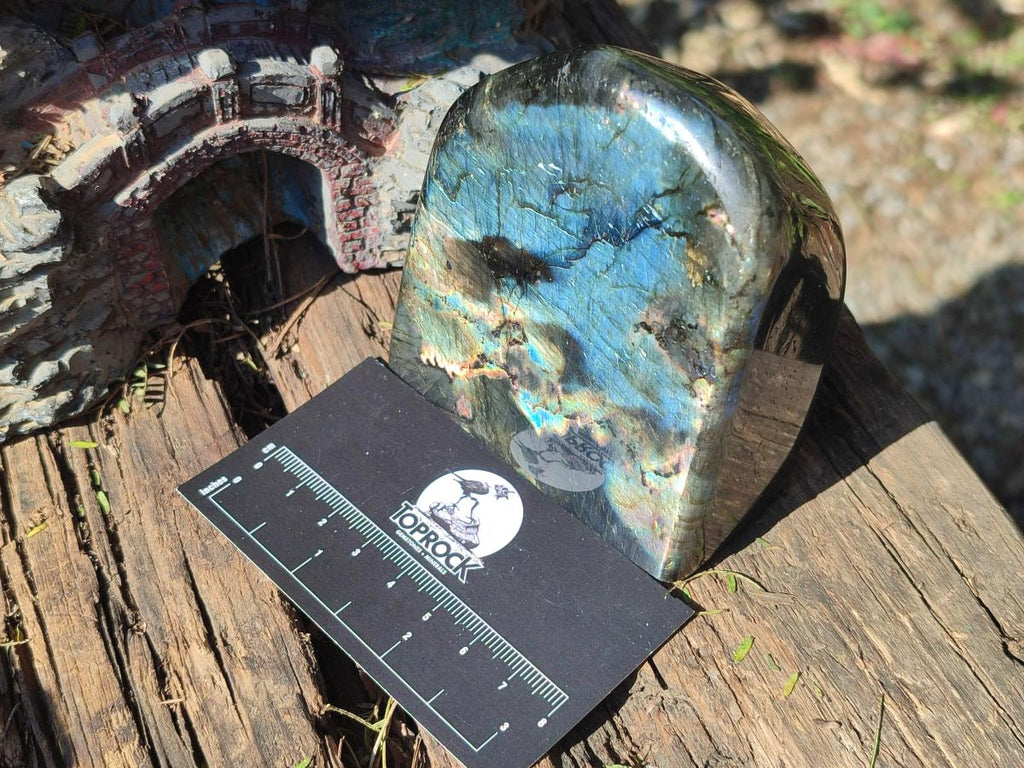 Polished Spectrolite Labradorite Standing Display Pieces x 3 From Madagascar - Toprock Gemstones and Minerals 