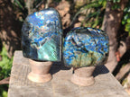 Polished Spectrolite Labradorite Standing Display Pieces x 3 From Madagascar - Toprock Gemstones and Minerals 
