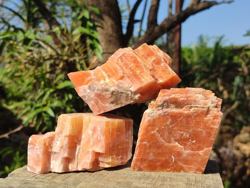 Natural Rhombohedral Sunset Orange Calcite Specimens x 6 From Spitzkop, Namibia - Toprock Gemstones and Minerals 