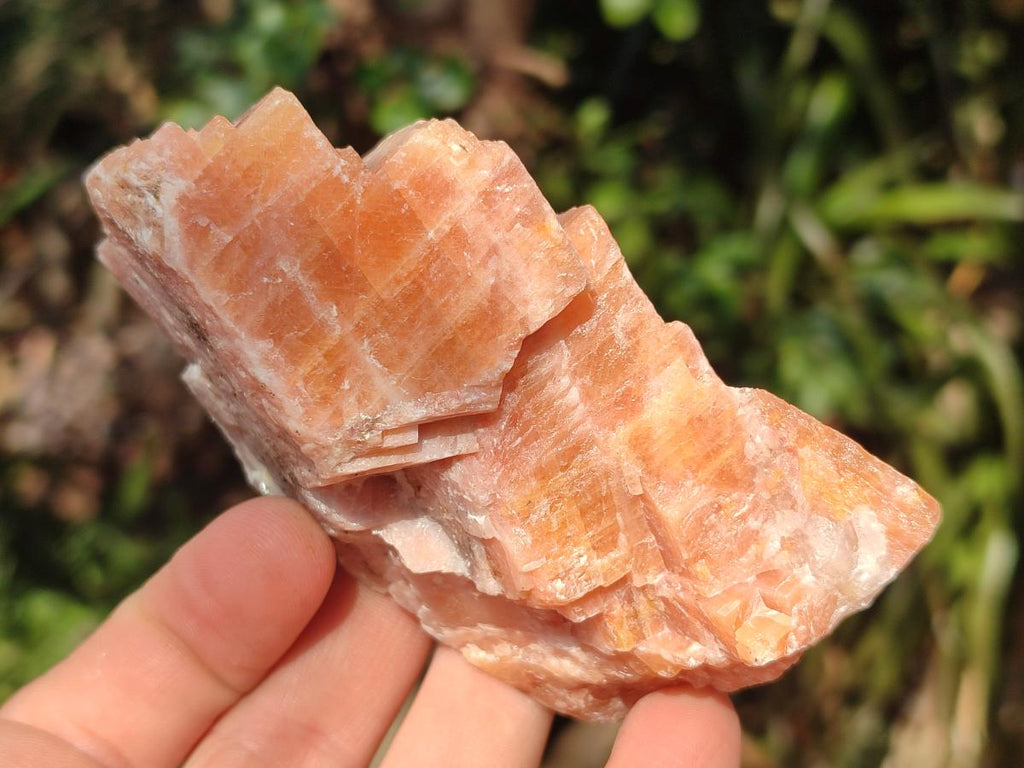 Natural Rhombohedral Sunset Orange Calcite Specimens x 6 From Spitzkop, Namibia - Toprock Gemstones and Minerals 