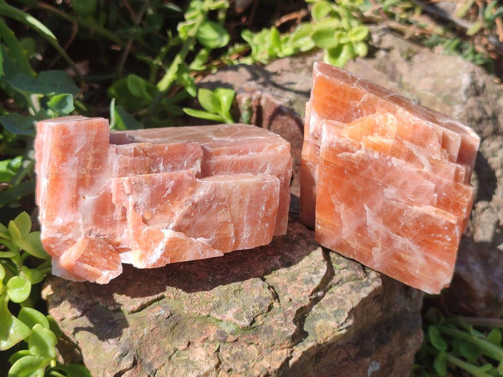 Natural Rhombohedral Sunset Orange Calcite Specimens x 6 From Spitzkop, Namibia - Toprock Gemstones and Minerals 