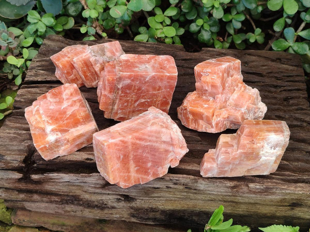 Natural Rhombohedral Sunset Orange Calcite Specimens x 6 From Spitzkop, Namibia - Toprock Gemstones and Minerals 