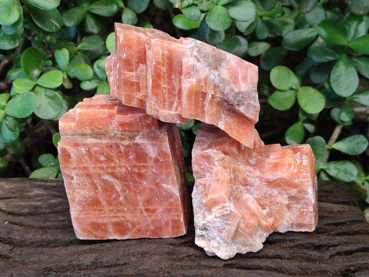 Natural Rhombohedral Sunset Orange Calcite Specimens x 6 From Spitzkop, Namibia - Toprock Gemstones and Minerals 