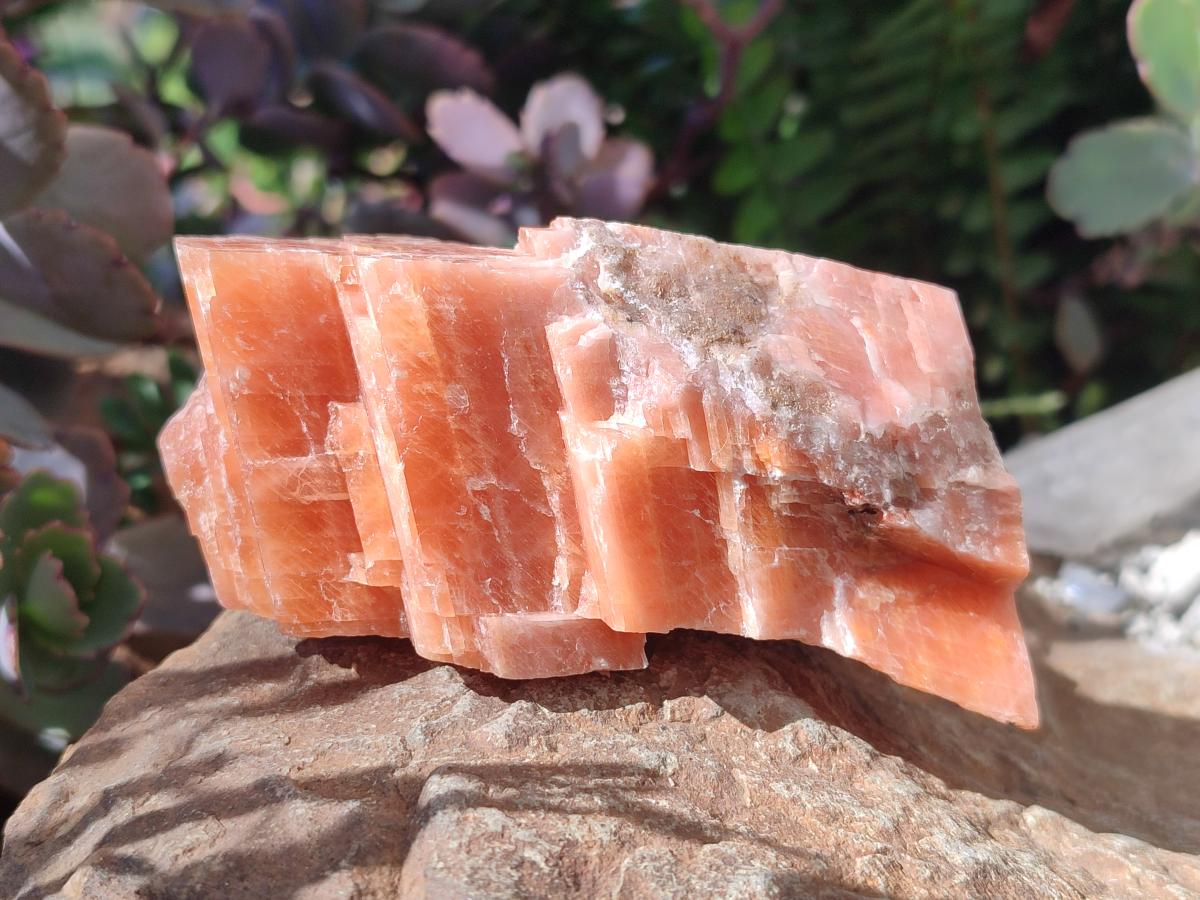 Natural Rhombohedral Sunset Orange Calcite Specimens x 6 From Spitzkop, Namibia - Toprock Gemstones and Minerals 
