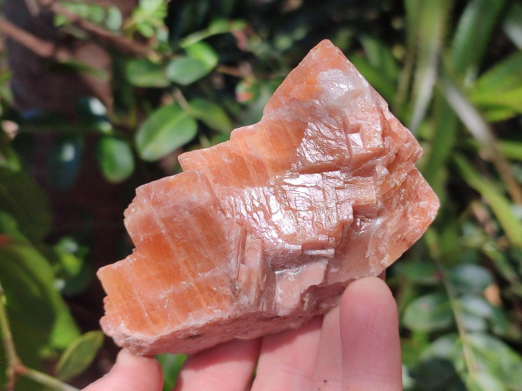 Natural Rhombohedral Sunset Orange Calcite Specimens x 6 From Spitzkop, Namibia - Toprock Gemstones and Minerals 