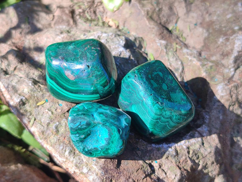 Polished Flower Banded Malachite Free Forms x 35 From Congo - Toprock Gemstones and Minerals 