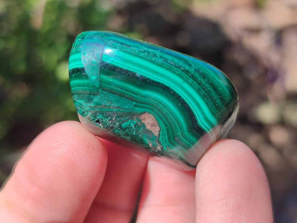 Polished Flower Banded Malachite Free Forms x 35 From Congo - Toprock Gemstones and Minerals 
