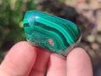 Polished Flower Banded Malachite Free Forms x 35 From Congo - Toprock Gemstones and Minerals 