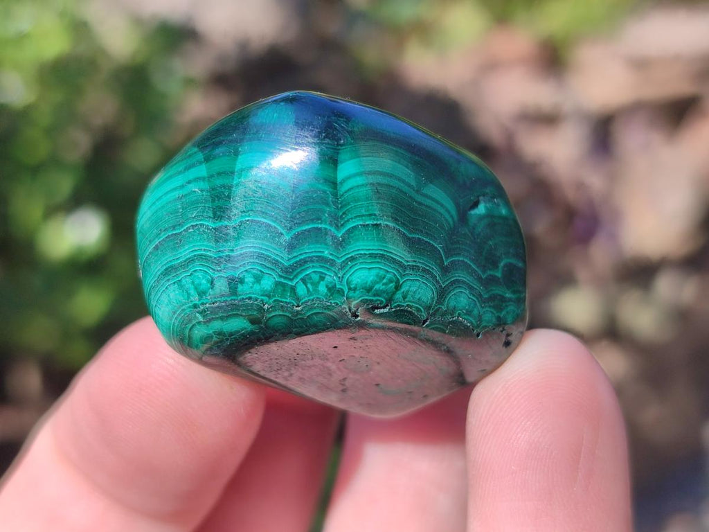Polished Flower Banded Malachite Free Forms x 35 From Congo - Toprock Gemstones and Minerals 