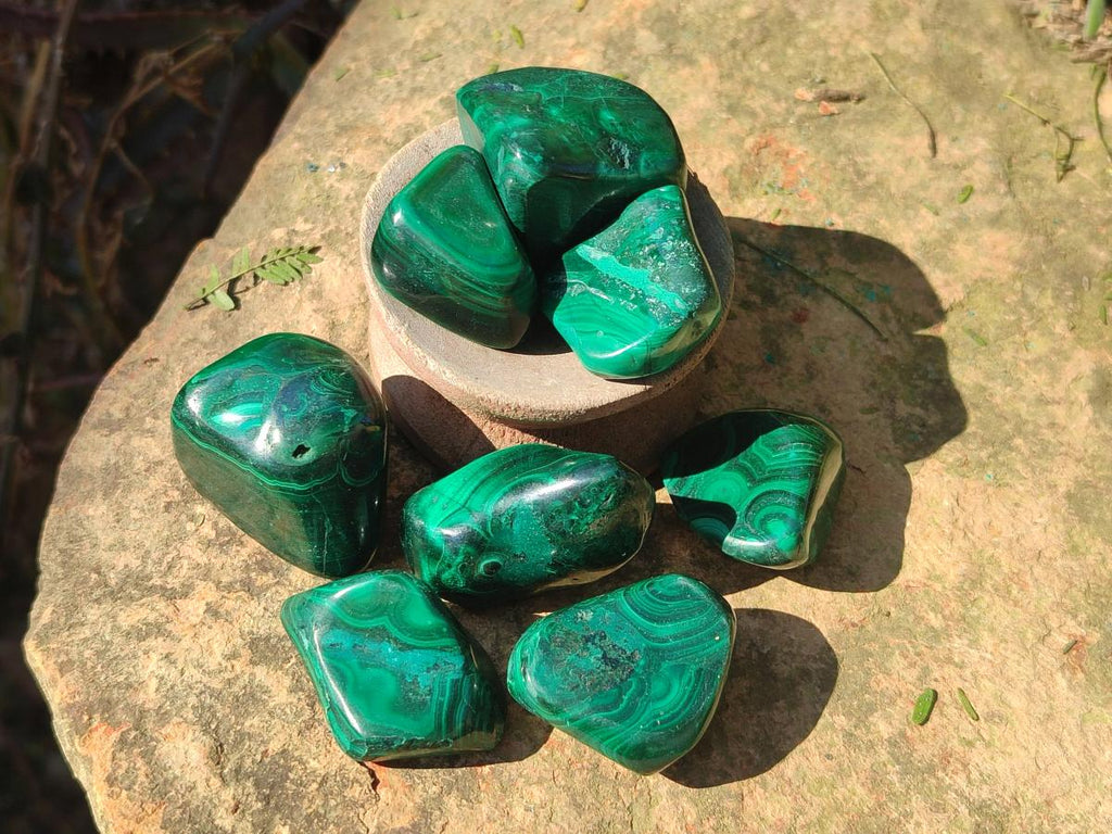 Polished Flower Banded Malachite Free Forms x 35 From Congo - Toprock Gemstones and Minerals 