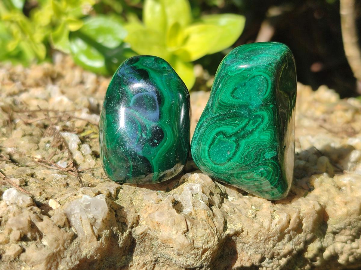 Polished Flower Banded Malachite Free Forms x 35 From Congo - Toprock Gemstones and Minerals 
