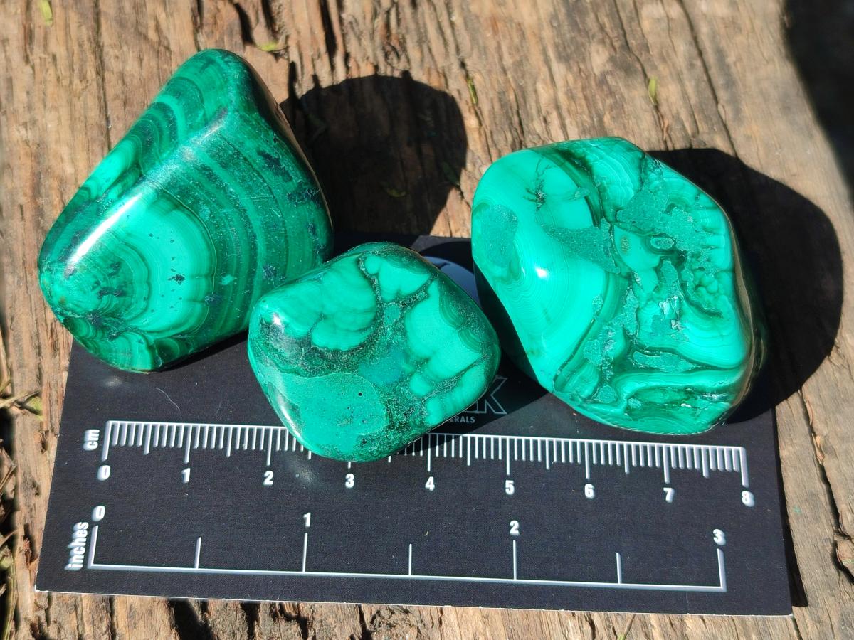 Polished Flower Banded Malachite Free Forms x 35 From Congo - Toprock Gemstones and Minerals 