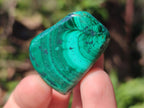 Polished Flower Banded Malachite Free Forms x 35 From Congo - Toprock Gemstones and Minerals 