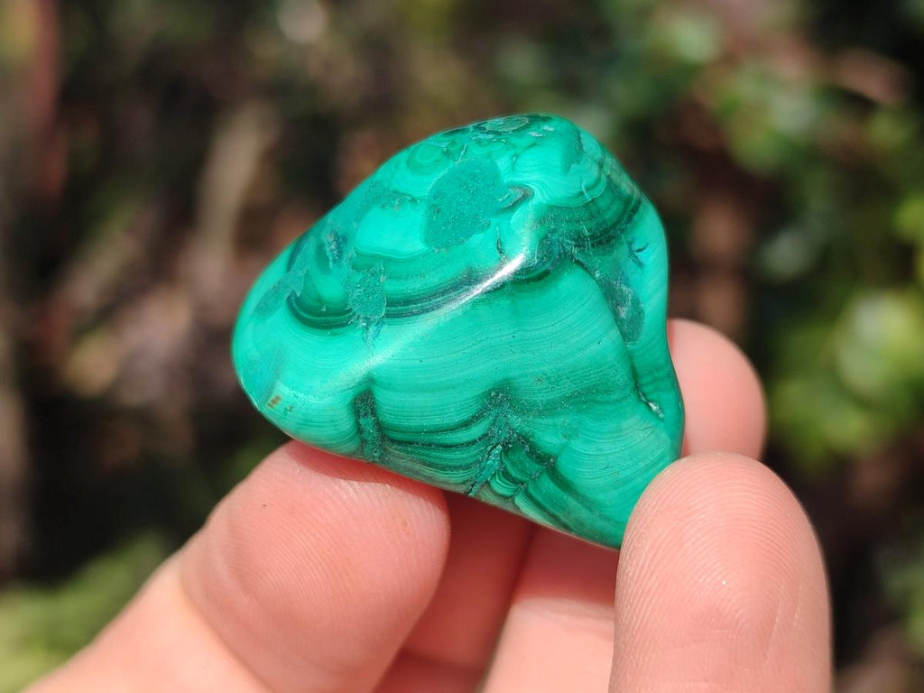 Polished Flower Banded Malachite Free Forms x 35 From Congo - Toprock Gemstones and Minerals 