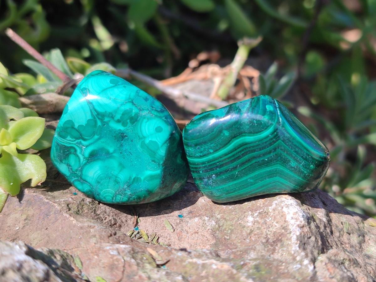 Polished Flower Banded Malachite Free Forms x 35 From Congo - Toprock Gemstones and Minerals 