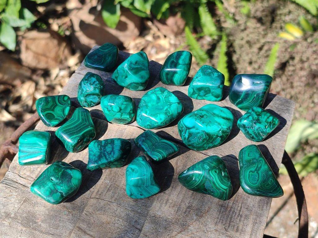 Polished Flower Banded Malachite Free Forms x 35 From Congo - Toprock Gemstones and Minerals 