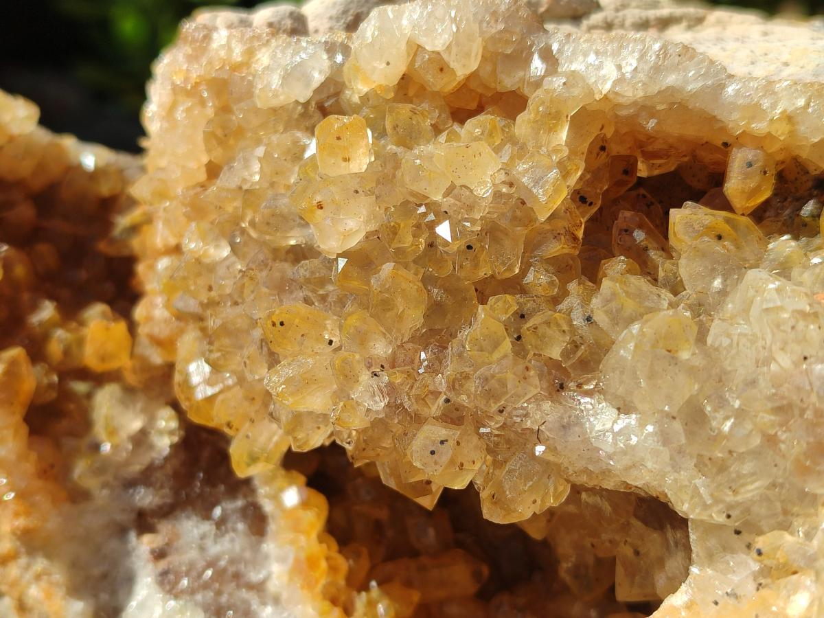 Natural XL Golden Limonite Quartz Cluster x 1 From Solwezi, Zambia - Toprock Gemstones and Minerals 