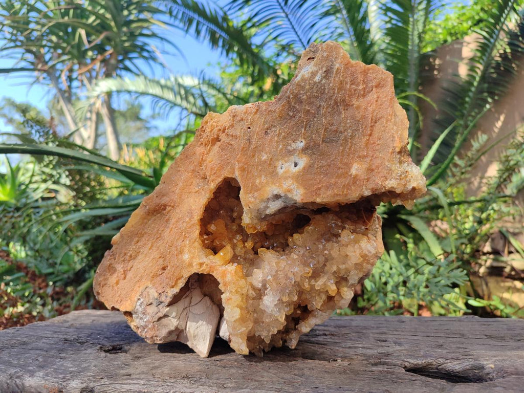 Natural XL Golden Limonite Quartz Cluster x 1 From Solwezi, Zambia - Toprock Gemstones and Minerals 