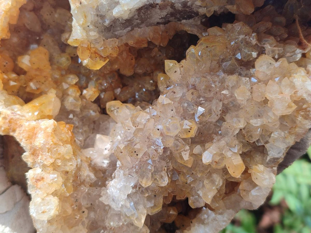 Natural XL Golden Limonite Quartz Cluster x 1 From Solwezi, Zambia - Toprock Gemstones and Minerals 