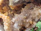 Natural XL Golden Limonite Quartz Cluster x 1 From Solwezi, Zambia - Toprock Gemstones and Minerals 