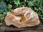 Natural XL Golden Limonite Quartz Cluster x 1 From Solwezi, Zambia - Toprock Gemstones and Minerals 