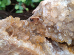 Natural XL Golden Limonite Quartz Cluster x 1 From Solwezi, Zambia - Toprock Gemstones and Minerals 