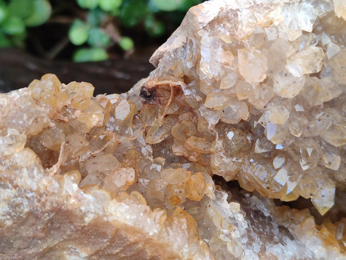 Natural XL Golden Limonite Quartz Cluster x 1 From Solwezi, Zambia - Toprock Gemstones and Minerals 