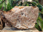 Natural XL Golden Limonite Quartz Cluster x 1 From Solwezi, Zambia - Toprock Gemstones and Minerals 