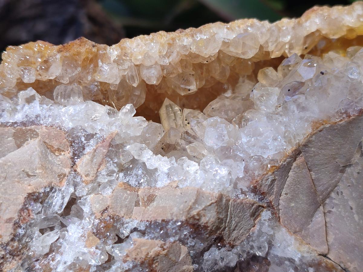 Natural XL Golden Limonite Quartz Cluster x 1 From Solwezi, Zambia - Toprock Gemstones and Minerals 