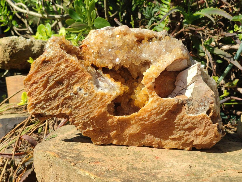 Natural XL Golden Limonite Quartz Cluster x 1 From Solwezi, Zambia - Toprock Gemstones and Minerals 