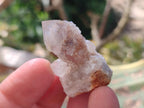 Natural Drusy Fairy Spirit Quartz Crystals x 70 From Boekenhouthoek, South Africa - Toprock Gemstones and Minerals 