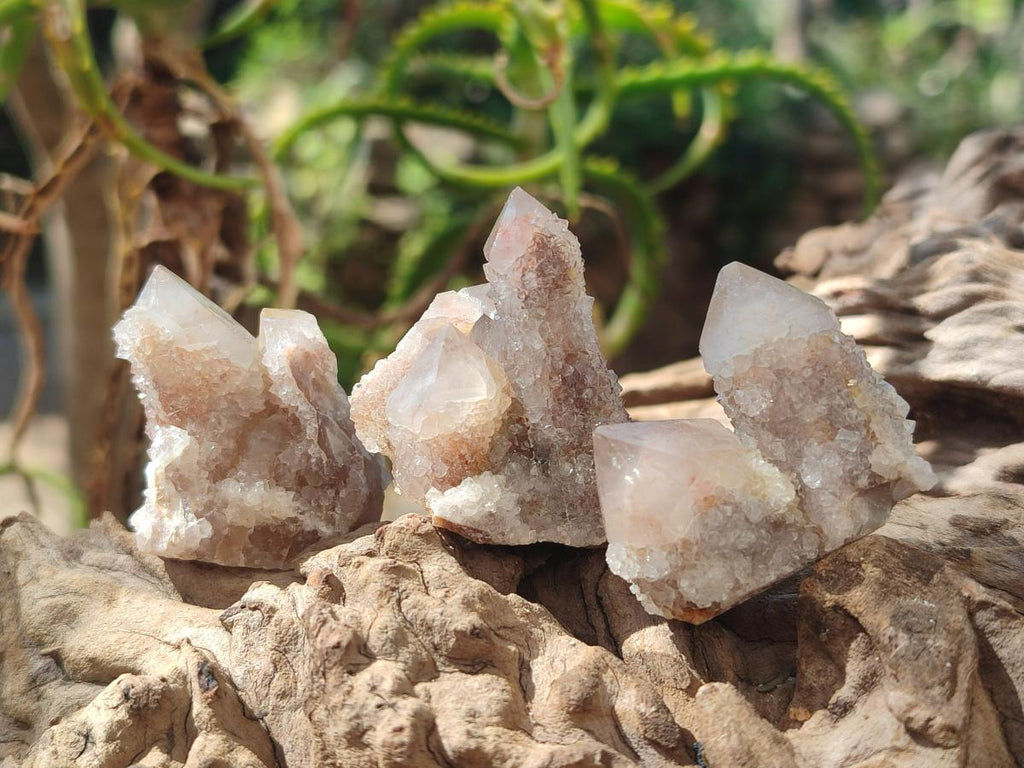 Natural Drusy Fairy Spirit Quartz Crystals x 70 From Boekenhouthoek, South Africa - Toprock Gemstones and Minerals 