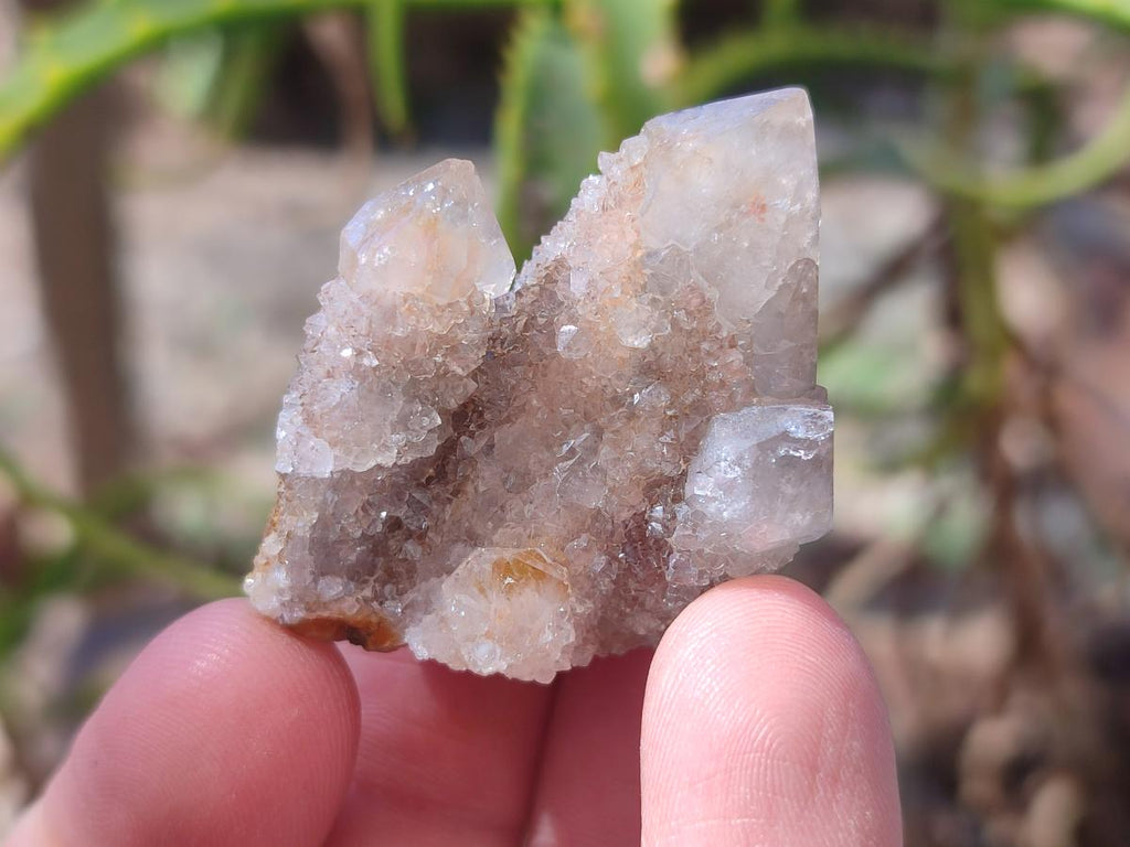 Natural Drusy Fairy Spirit Quartz Crystals x 70 From Boekenhouthoek, South Africa - Toprock Gemstones and Minerals 