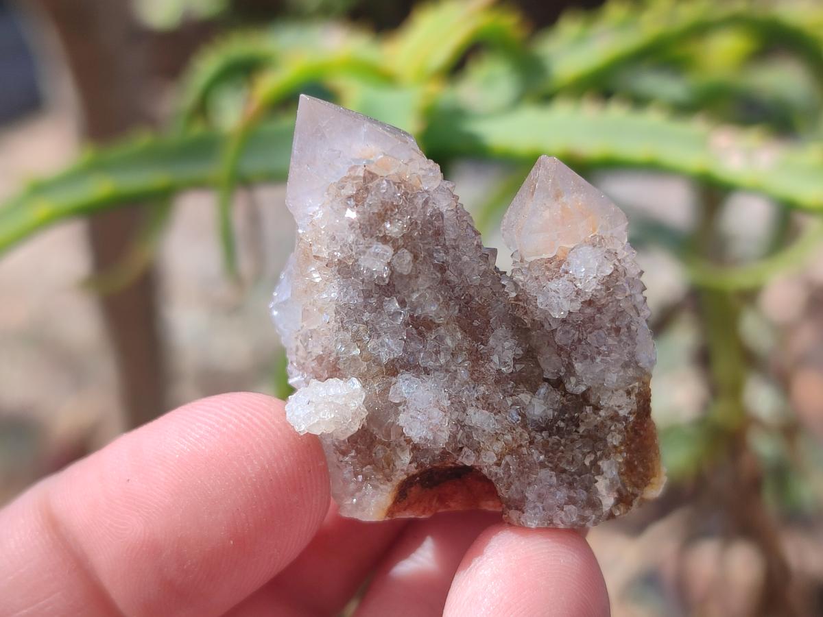 Natural Drusy Fairy Spirit Quartz Crystals x 70 From Boekenhouthoek, South Africa - Toprock Gemstones and Minerals 