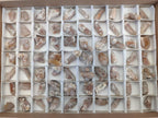 Natural Drusy Fairy Spirit Quartz Crystals x 70 From Boekenhouthoek, South Africa - Toprock Gemstones and Minerals 