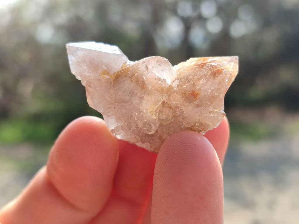 Natural Drusy Fairy Spirit Quartz Crystals x 70 From Boekenhouthoek, South Africa - Toprock Gemstones and Minerals 