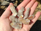 Natural Drusy Fairy Spirit Quartz Crystals x 70 From Boekenhouthoek, South Africa - Toprock Gemstones and Minerals 