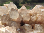 Natural Large Cascading White Phantom Smokey Luena Quartz Cluster x 1 From Luena, Congo - Toprock Gemstones and Minerals 