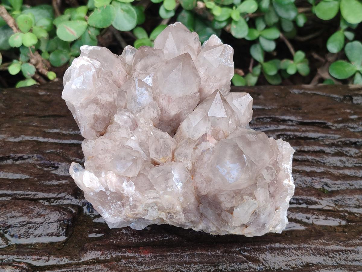 Natural Large Cascading White Phantom Smokey Luena Quartz Cluster x 1 From Luena, Congo - Toprock Gemstones and Minerals 