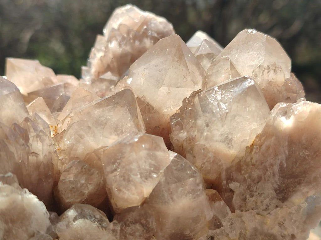 Natural Large Cascading White Phantom Smokey Luena Quartz Cluster x 1 From Luena, Congo - Toprock Gemstones and Minerals 