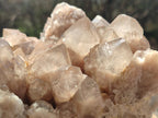 Natural Large Cascading White Phantom Smokey Luena Quartz Cluster x 1 From Luena, Congo - Toprock Gemstones and Minerals 