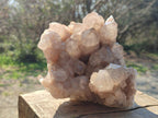 Natural Large Cascading White Phantom Smokey Luena Quartz Cluster x 1 From Luena, Congo - Toprock Gemstones and Minerals 