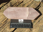 Polished Double Terminated Gemmy Rose Quartz Crystals x 4 From Madagascar - Toprock Gemstones and Minerals 