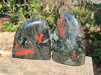 Polished Bloodstone Standing Display Pieces x 3 From Swaziland - Toprock Gemstones and Minerals 